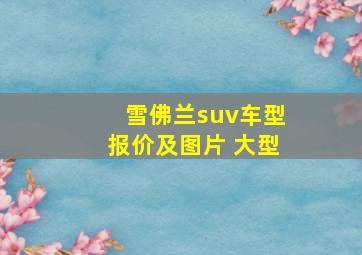 雪佛兰suv车型报价及图片 大型